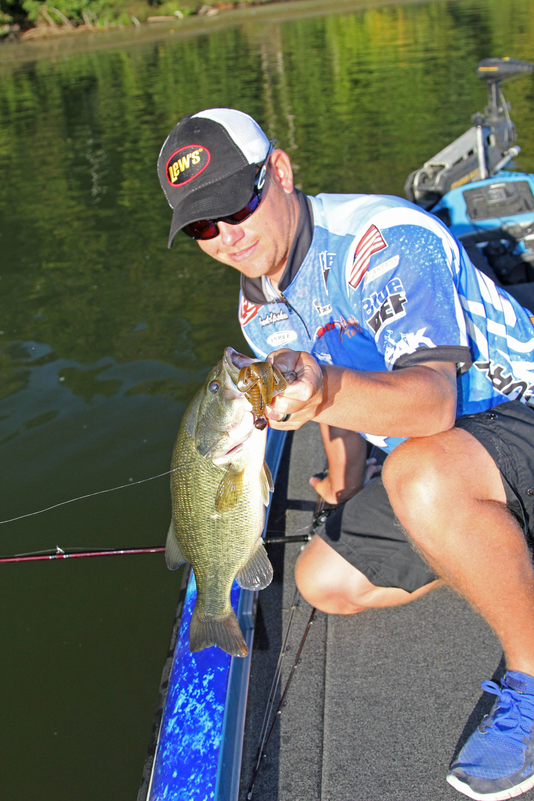 Giving fish a different kind of look is what makes the swing head so ...