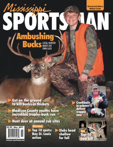 November 2011